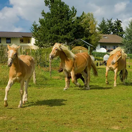 阳光公寓 Üdersdorf