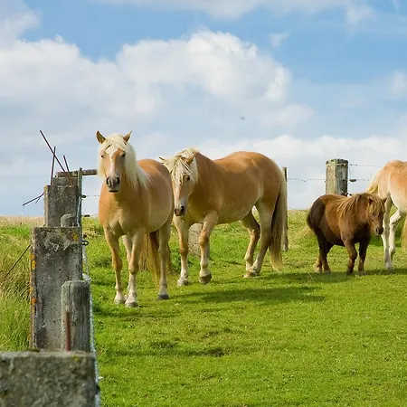 阳光公寓 宾馆 *