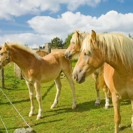 阳光公寓 * Üdersdorf