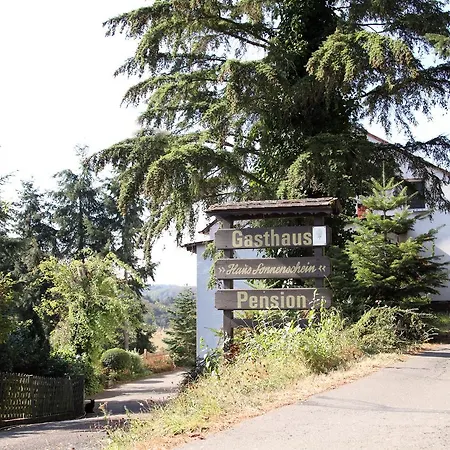 Haus Sonnenschein Mini-hôtel *