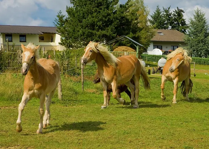 Haus Sonnenschein Üdersdorf
