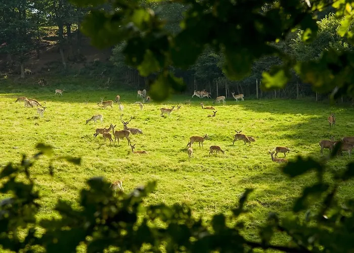 Haus Sonnenschein * Üdersdorf