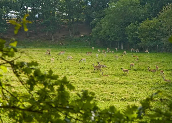 Haus Sonnenschein Estalagem *