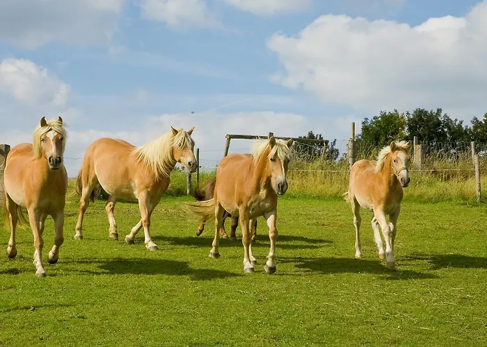 Estalagem Haus Sonnenschein
