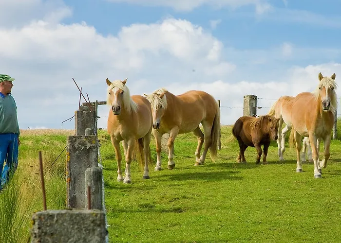 Haus Sonnenschein Estalagem *