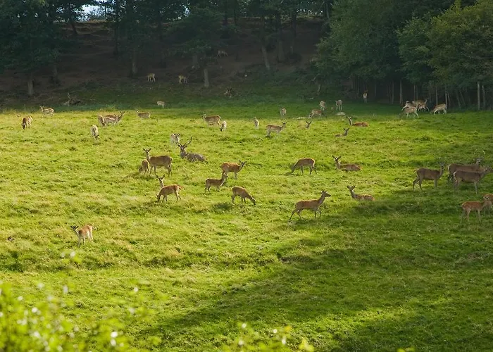 Haus Sonnenschein * Üdersdorf